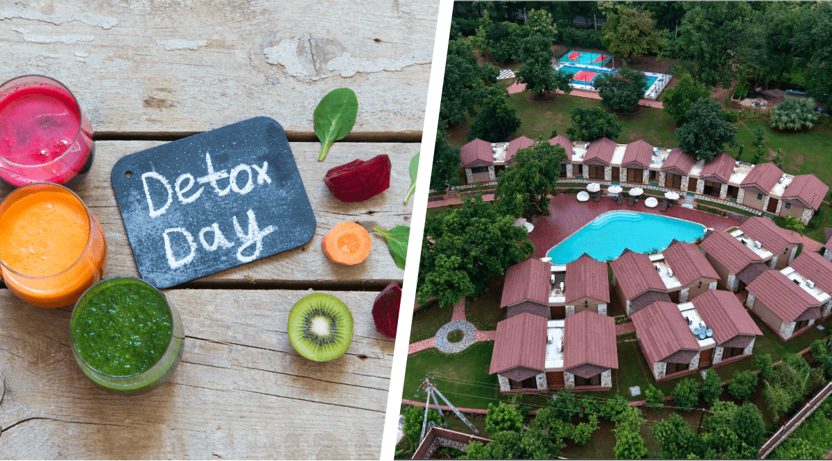 rehab center in india